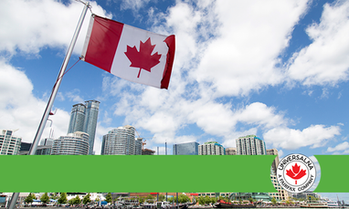 Universalna имеет высокий уровень платежеспособности