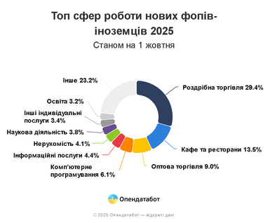 Сколько иностранцев открыли бизнес в Украине в этом году (инфографика)