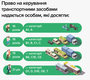 Право на управление транспортным средством: кому и когда предоставляется (инфографика)
