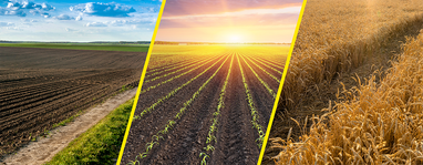 Как фермерам и агропредприятиям обеспечить потребности весенней кампании?