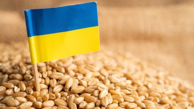 ЕС продлил действие ограничений на агроимпорт из Украины до середины сентября