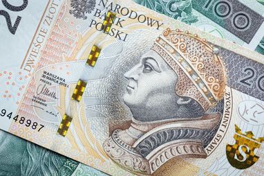 Украинские беженцы получат денежное пособие от немецкого фонда: условия
