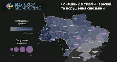 На большинстве подсолнуховых полей в отдельных районах не соблюдаются правила севооборота (инфографика)