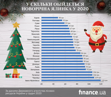 Скільки коштуватимуть ялинки, і коли їх почнуть продавати (інфографіка)