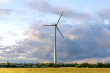 Британський інвестор спрямує 90 млн євро нові вітроелектростанції в Одещині