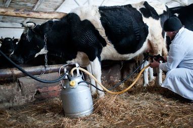 Про заборону торгувати домашніми молоком і м'ясом