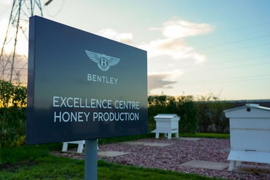 Не тільки автомобілі: Bentley налагодила виробництво меду (фото)