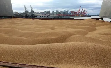 Із підприємств на Запоріжжі окупанти викрали майже 2 тис. тонн зерна: відкрито провадження