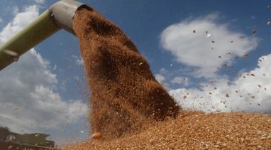 Украина ежемесячно на 50% увеличивает экспорт зерна