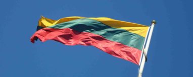 Литва виділяє €800 тисяч на два проєкти підтримки України