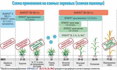 Обеспечение ожидаемой прибыли озимых