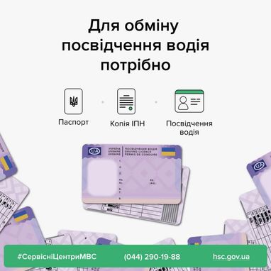 Інфографіка: МВС
