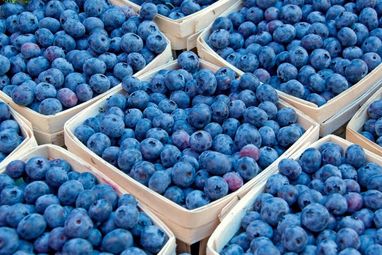 Україна здійснила ягідний прорив на ринок Швейцарії