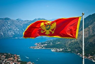 Чорногорія виділяє 11% від власного оборонного бюджету на підтримку України