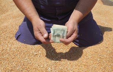 Правоохранители разоблачили схему завладения зерном госпредприятия на 23 миллиона