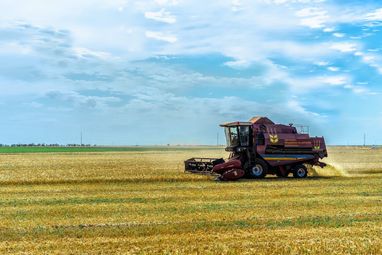 Украина сократит экспорт пшеницы в новом сезоне