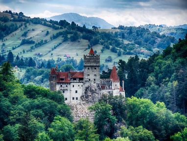 Названы 11 стран, в которых сейчас легко найти работу