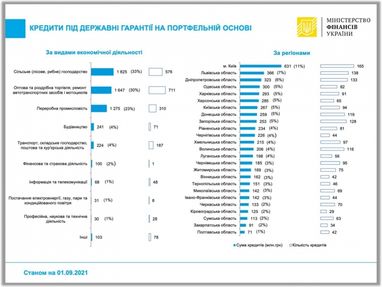 Банки выдали 5,5 млрд грн кредитов под портфельные гарантии