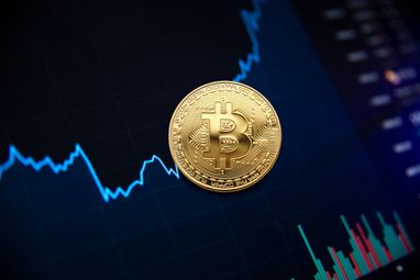 Владельцы ВТС впервые за 5 лет накопили рекордное количество криптовалюты