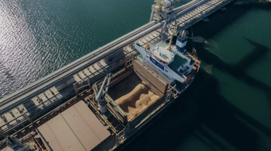 ВМС объяснили различия между «зерновым соглашением» и временным коридором