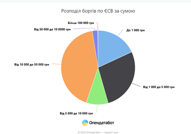 Борг ФОП перед державою становить 12,5 млрд грн (інфографіка)