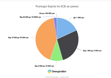 Долг ФЛП перед государством составляет 12,5 млрд грн (инфографика)