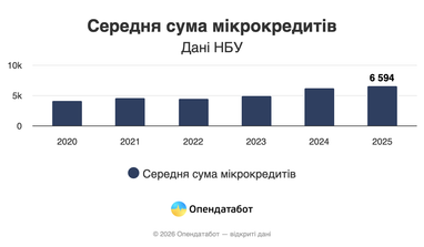 Средняя сумма микрокредитов