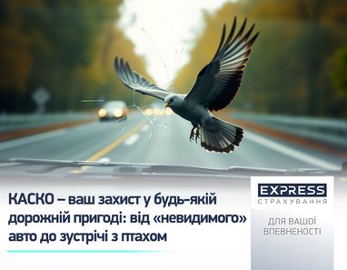 КАСКО — ваша защита в любом дорожном происшествии: от «невидимого» авто до встречи с птицей