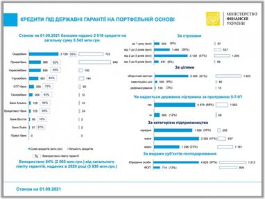 Банки выдали 5,5 млрд грн кредитов под портфельные гарантии