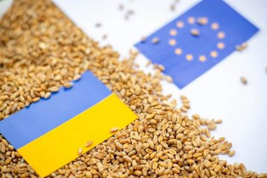 У вересні вдалося експортувати 2,4 млн тонн, або 46% того, що мало би бути експортовано