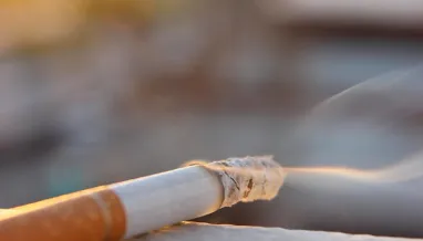 Выручка от реализации табачных изделий в 2025 году выросла 30,4 млрд грн.