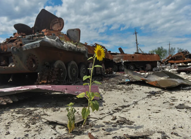 Сума екологічних збитків України через російську агресію