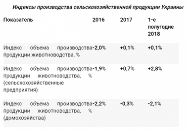 Продовольча безпека: як держдотації зміцнюють агросектор