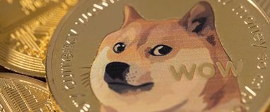 Shiba Inu возглавил рейтинг самых проблемных криптовалют