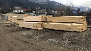 На Прикарпатті викрили схему експорту деревини на 15 млн грн