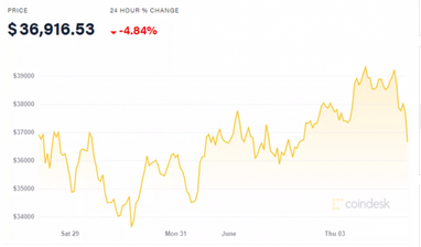 Илон Маск снова обрушил курс Bitcoin