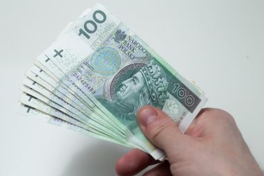 Польські злоті
