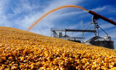 Іспанія запустила експериментальний маршрут для закупівлі української кукурудзи