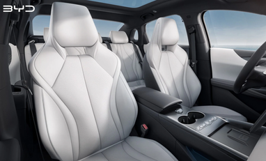 Фото: BYD Auto