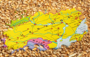 Пять стран ЕС снова обратились в Еврокомиссию по делу украинской агропродукции