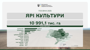 Аграрии засеяли яровыми 87% прогнозируемых площадей: кто лидирует в посевной кампании
