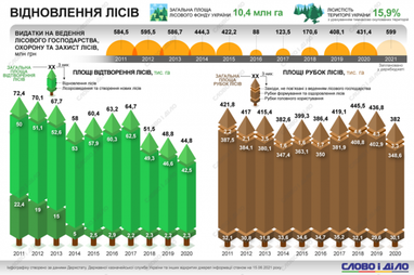 Ліси в Україні: скільки грошей витрачали на відновлення в останні 10 років