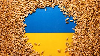 россия в 2022 году украла почти 6 млн т украинской пшеницы — доклад Конгресса США