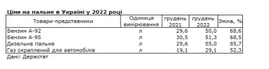 Яке пальне здорожчало найбільше у 2022-му — дані Держстату