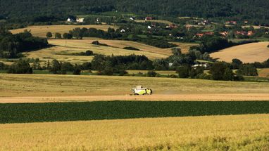 Шмыгаль сказал, сколько в Украине продали сельхозземель с начала открытия рынка