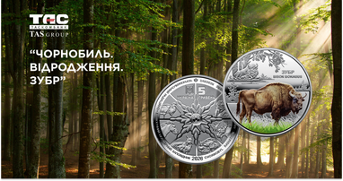 На фоне густого зеленого леса, сквозь который пробиваются солнечные лучи, изображены две стороны монеты номиналом в 5 гривен 2026 года выпуска. На монете изображен большой зубр
