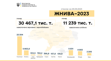 Скільки Україна зібрала врожаю зернових та олійних культур — Мінагрополітики