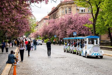 <i>Сакура Фест в Ужгороде, источник фото: zakarpattya24.com</i>