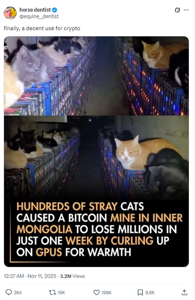 Збитки на мільйони: коти зупинили роботу ферми з майнінгу біткоїнів