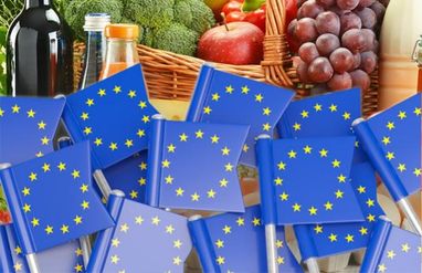 Украина за 2022 год экспортировала в ЕС агропродукции на $13 млрд: что продавали
